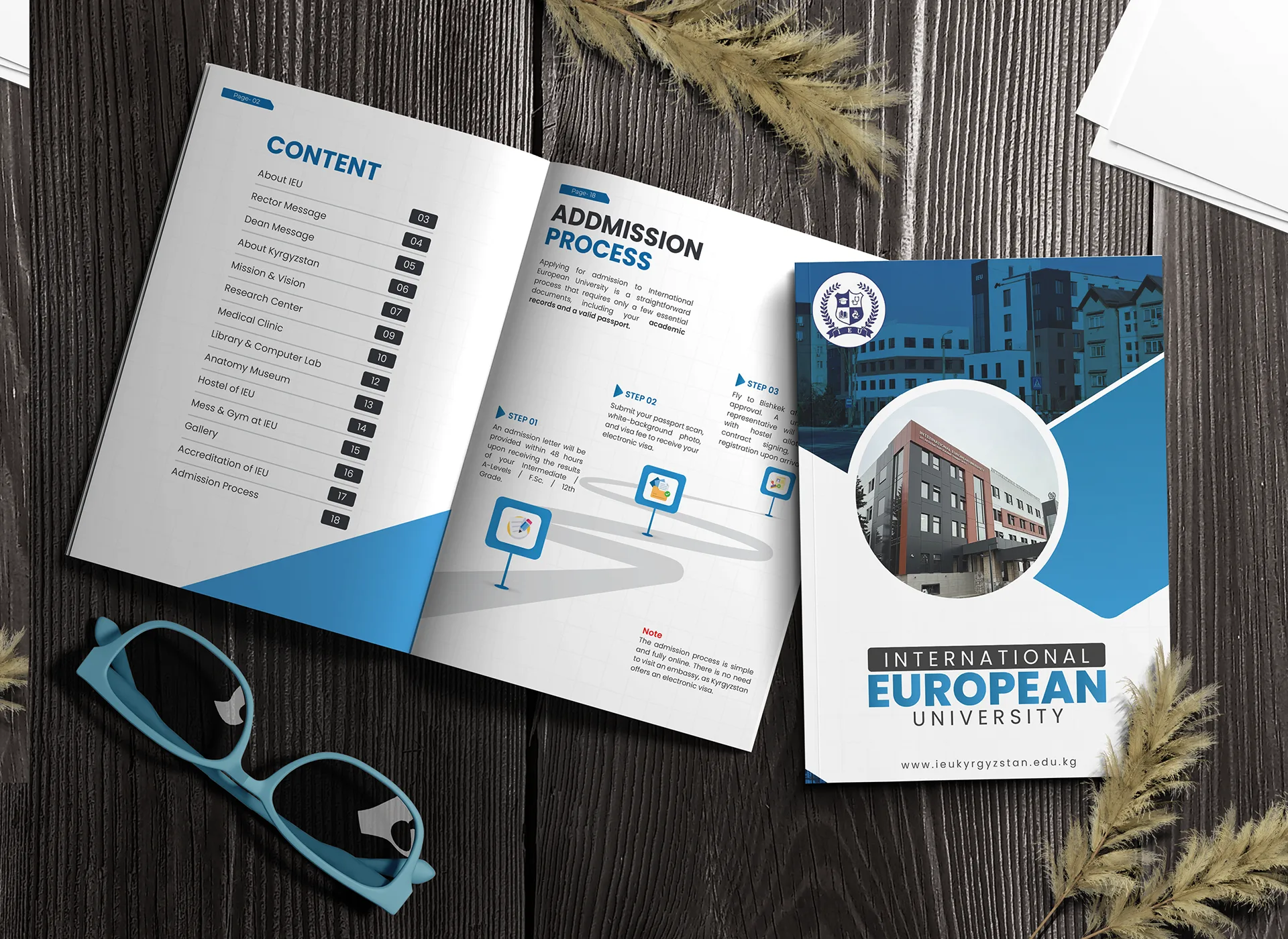 International European University Cover Image