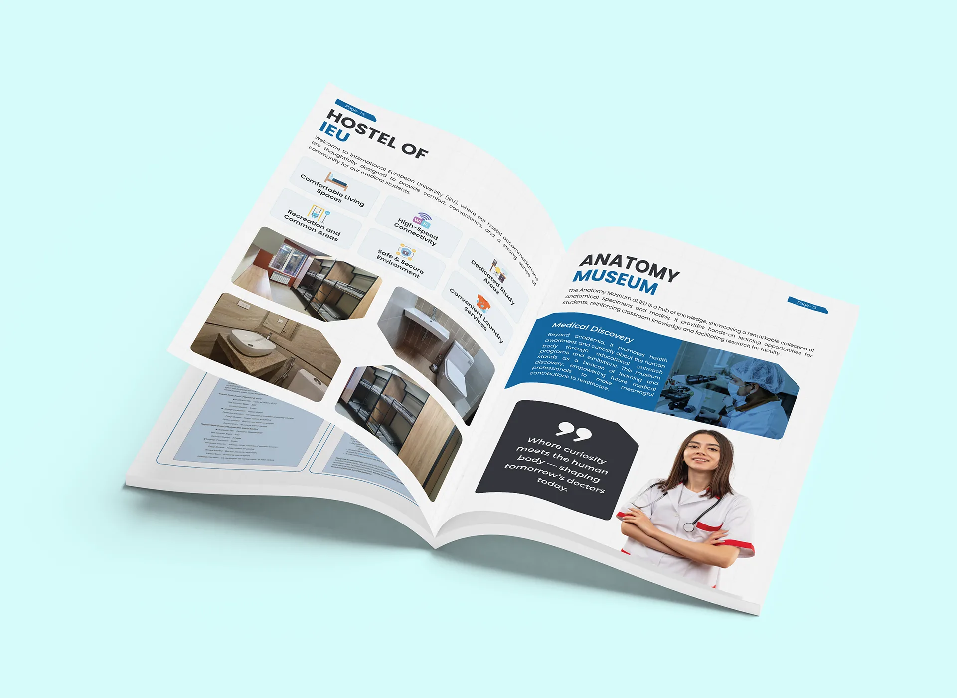 International European University Brochure four